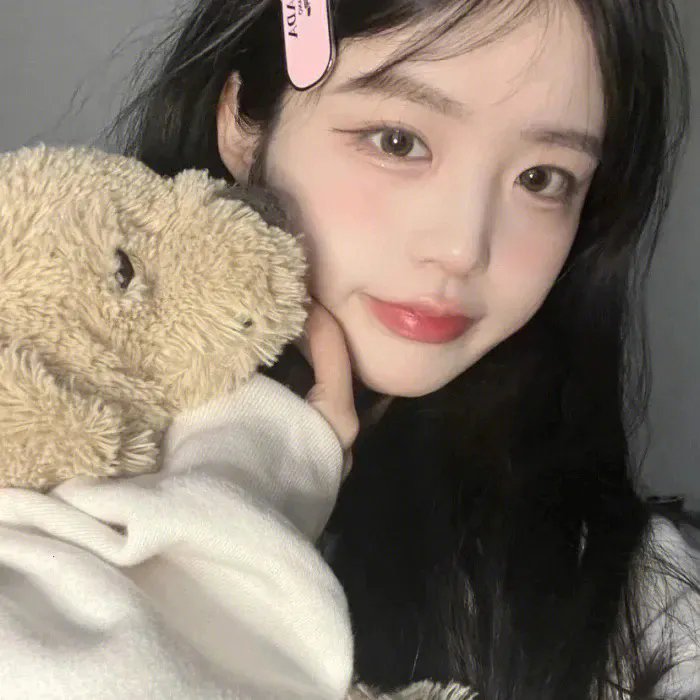 智叻狗仔队